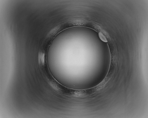 X0000116620070200912111205