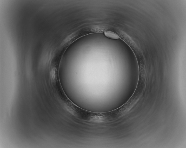 X0000116620071200912111205