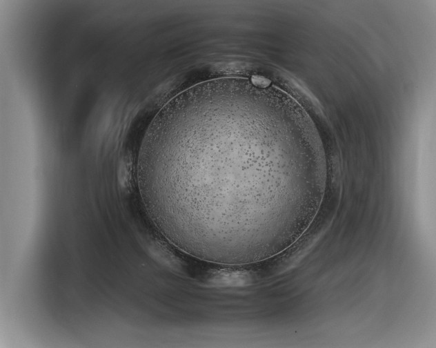 X0000116620073200912111205