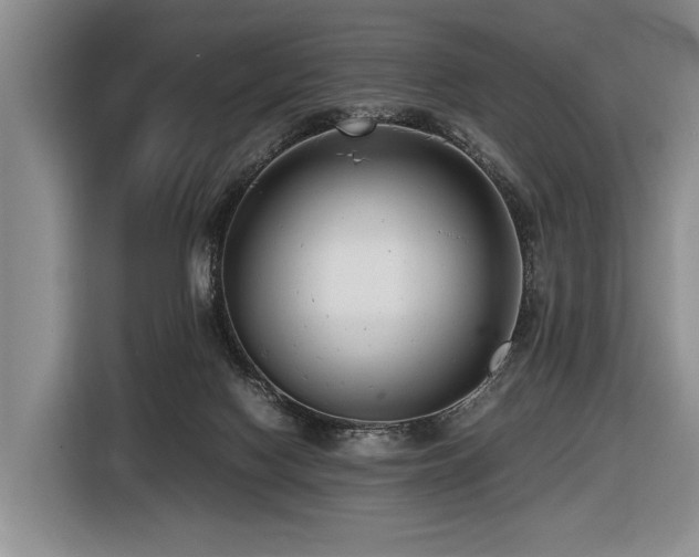 X0000116620074200912111205