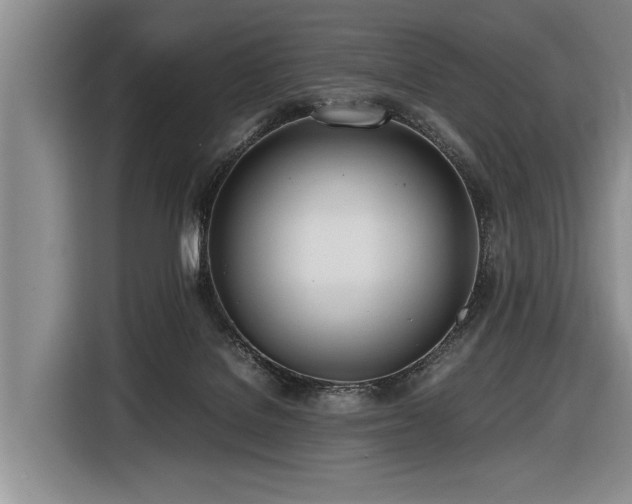 X0000116620076200912111205