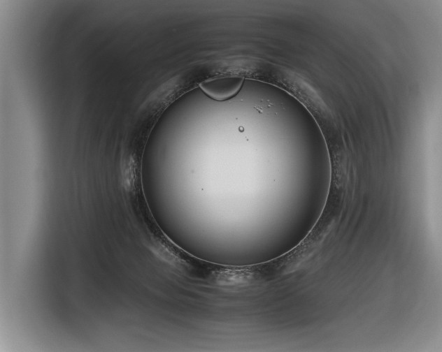 X0000116620077200912111205