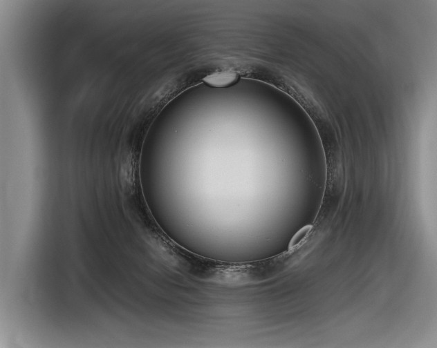 X0000116620078200912111205