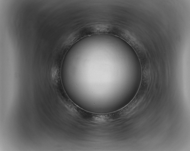 X0000116620079200912111205