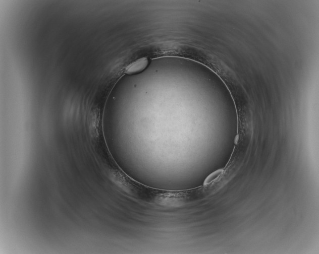 X0000116620082200912111205
