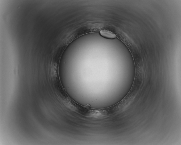 X0000116620083200912111205