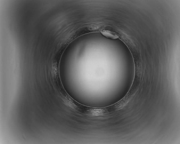 X0000116620085200912111205