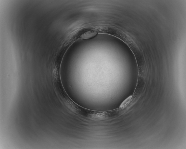 X0000116620086200912111205