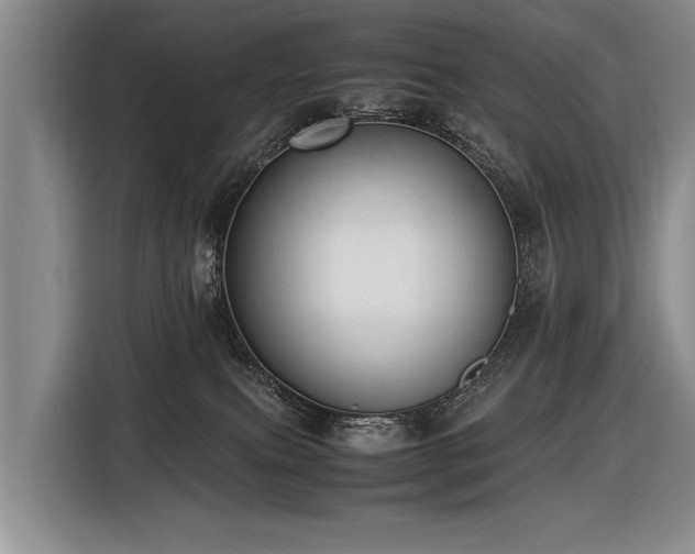 X0000116620087200912111205