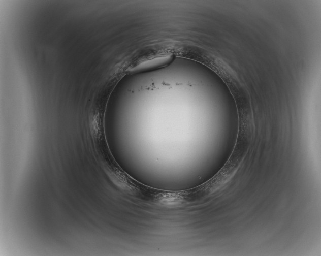 X0000116620088200912111205