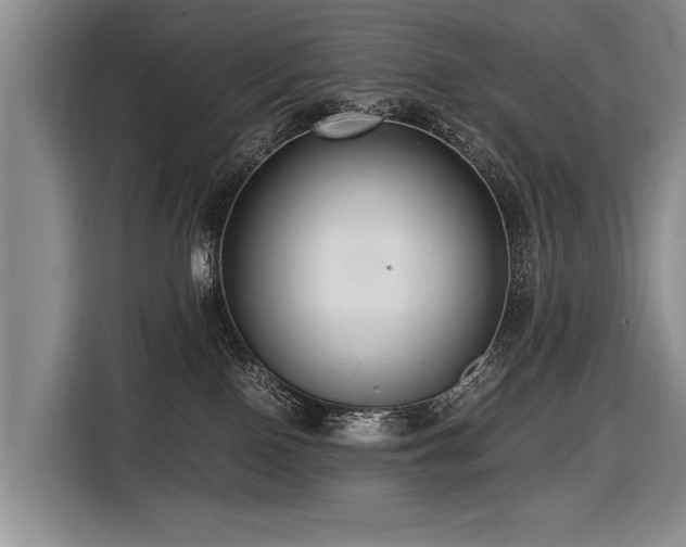 X0000116620090200912111205