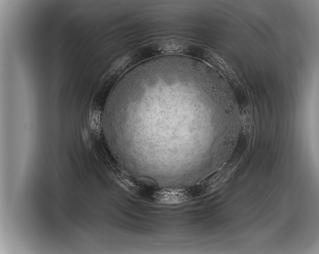 X0000116620093200912111205