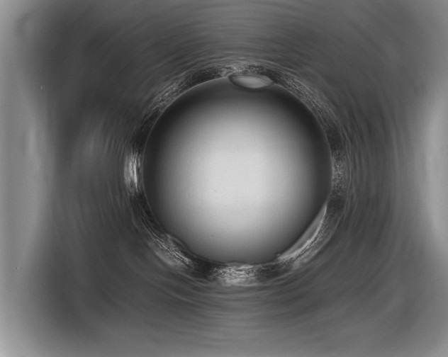 X0000116620094200912111205