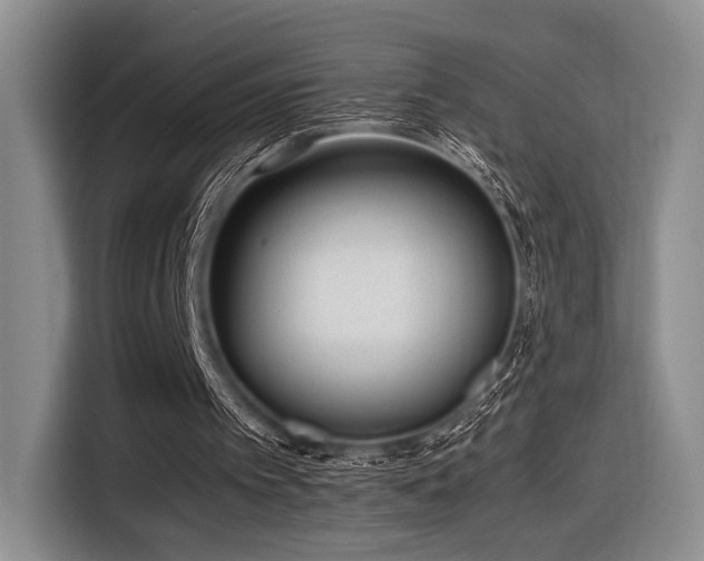 X0000116620097200912111205