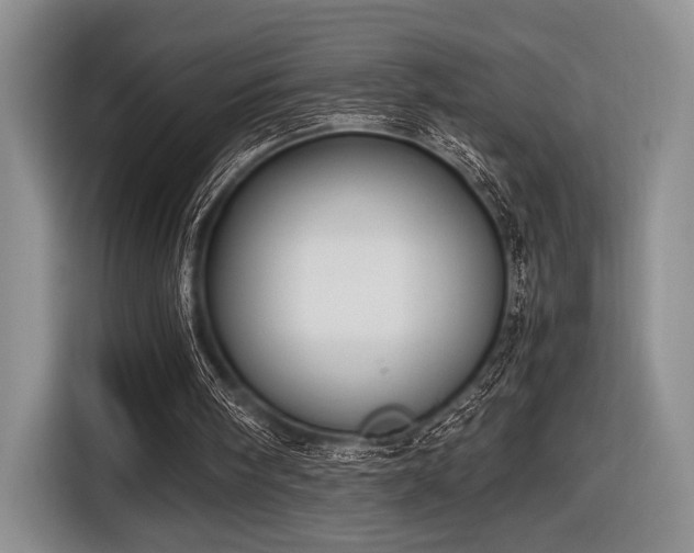 X0000116620098200912111205