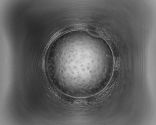 X0000116620099200912111205