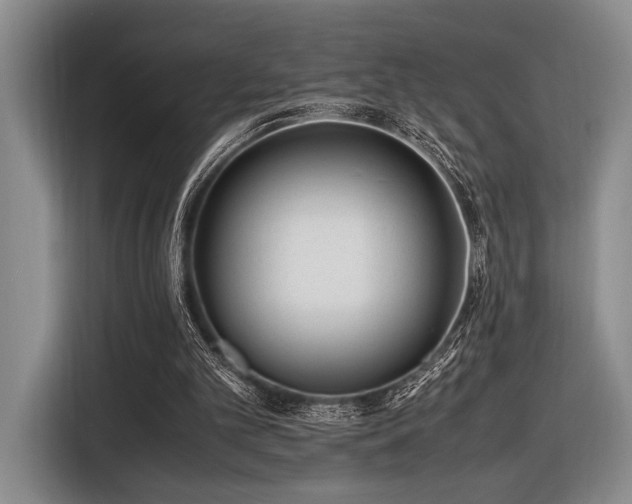 X0000116620101200912111205