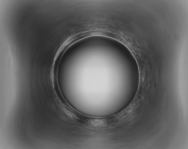 X0000116620102200912111205