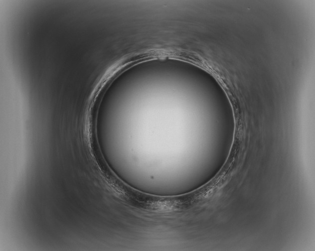 X0000116620103200912111205