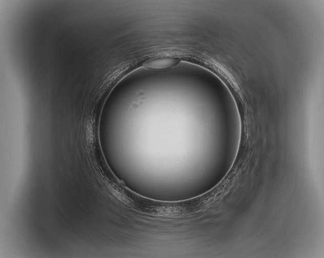 X0000116620105200912111204
