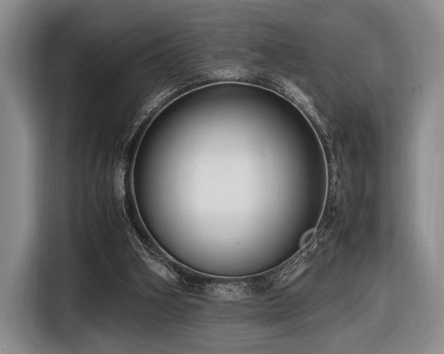 X0000116620106200912111204