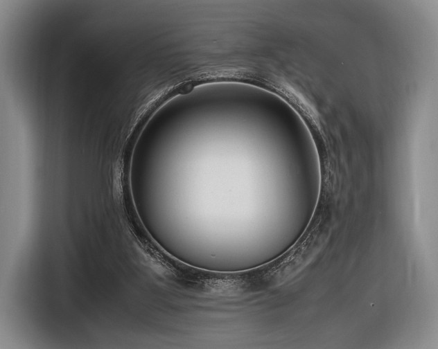 X0000116620107200912111204