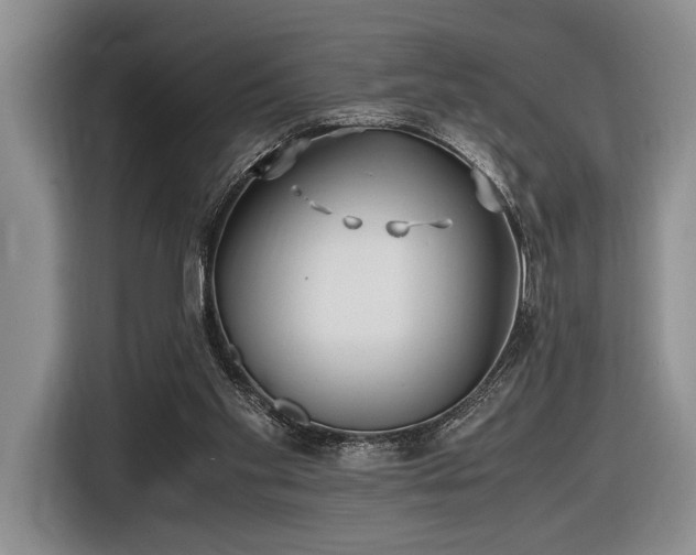 X0000116620109200912111204