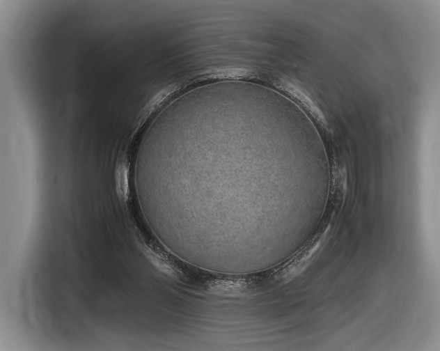 X0000116620110200912111204