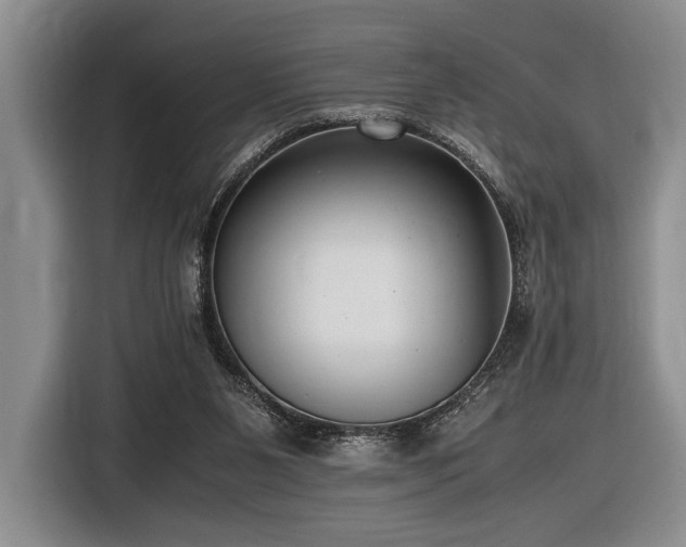 X0000116620111200912111204