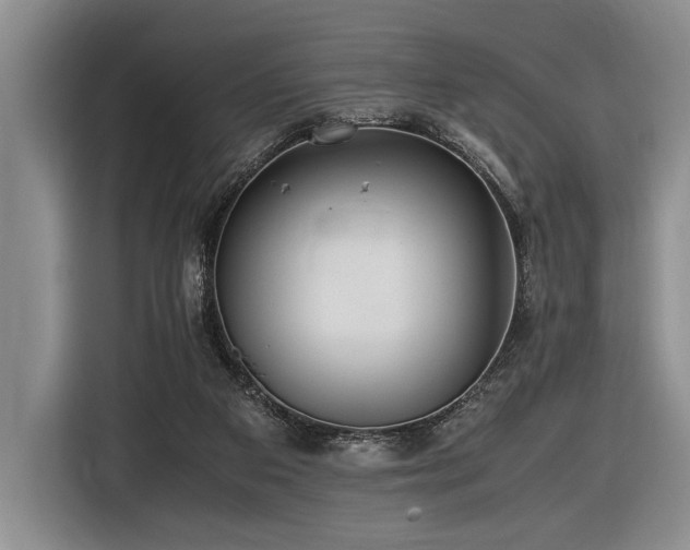 X0000116620113200912111204