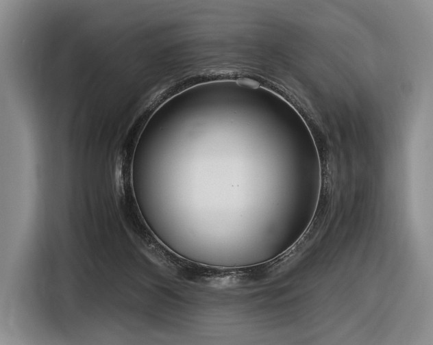 X0000116620116200912111204