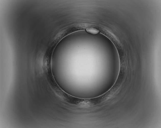 X0000116620119200912111204