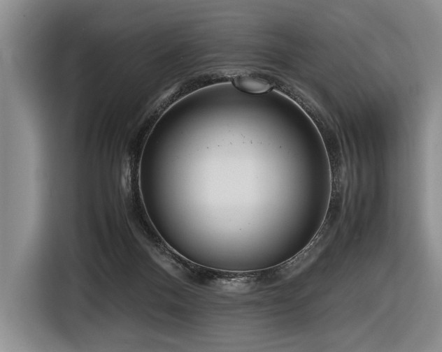 X0000116620120200912111204