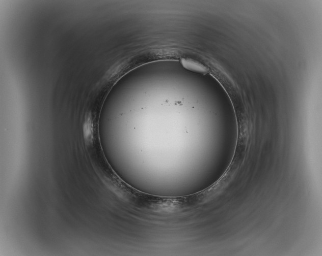 X0000116620124200912111204
