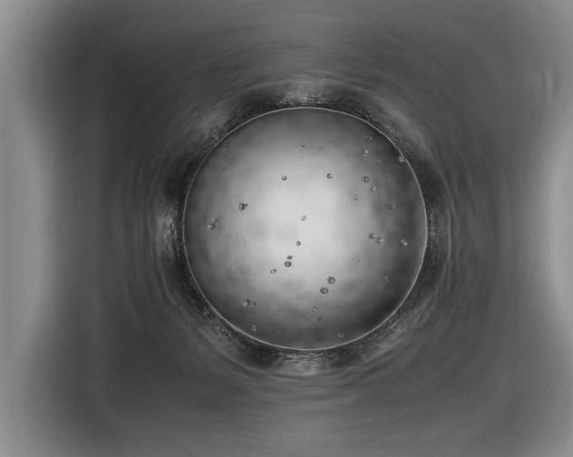 X0000116620127200912111204
