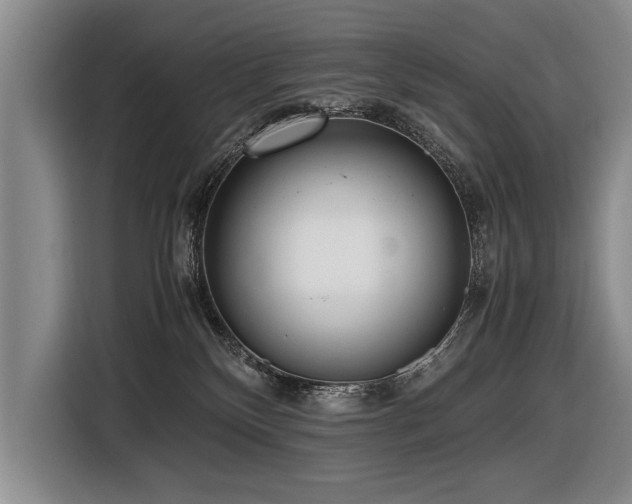 X0000116620136200912111204