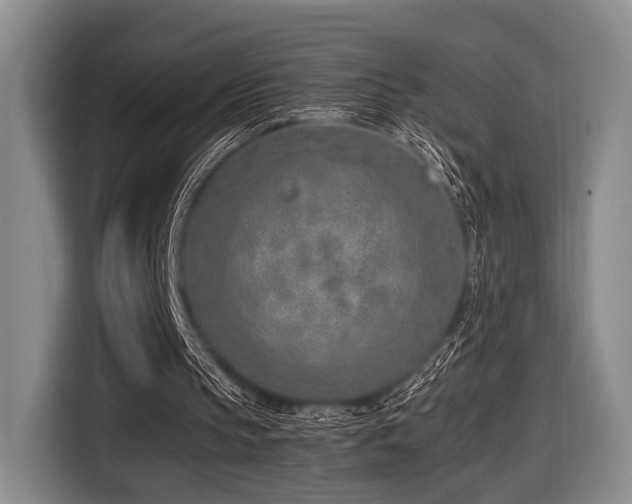 X0000116620145200912111203