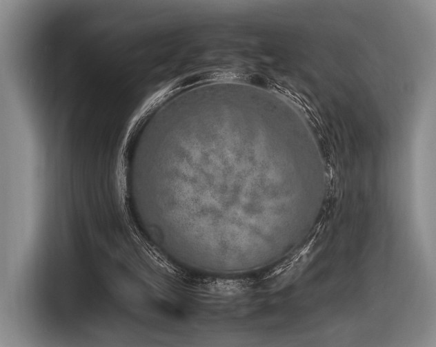 X0000116620149200912111203