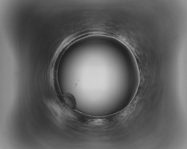 X0000116620151200912111203