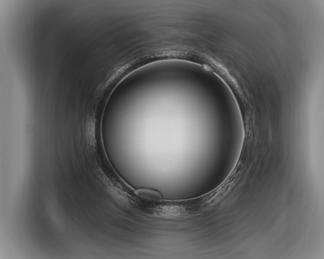 X0000116620154200912111203