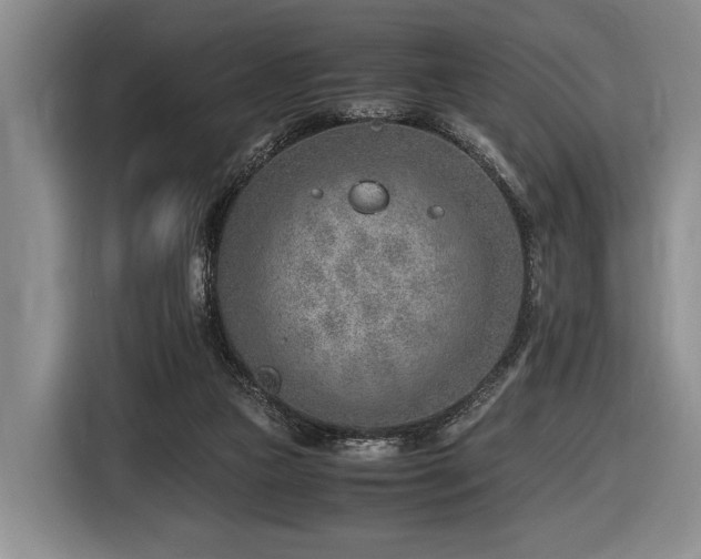 X0000116620161200912111204