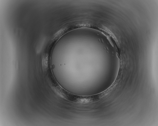 X0000116620163200912111204