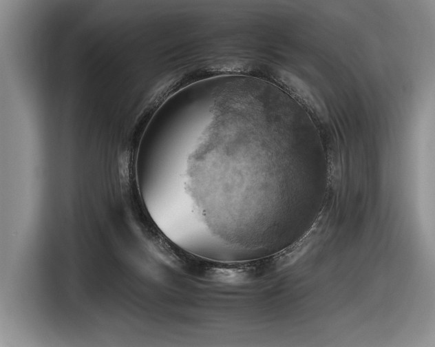 X0000116620167200912111204