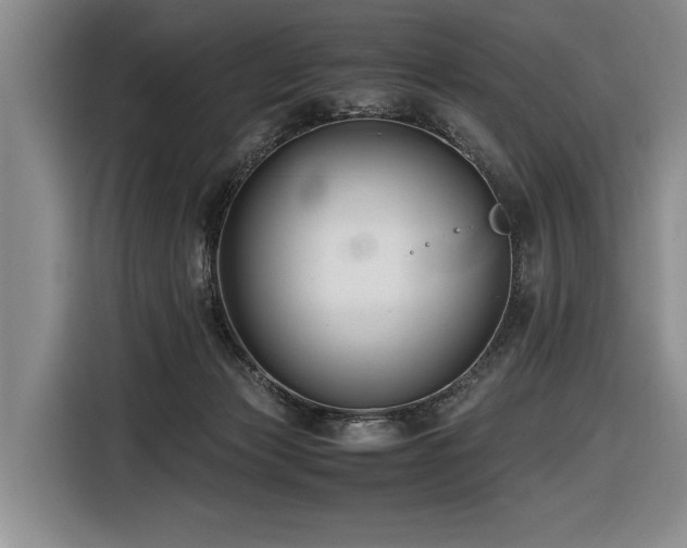 X0000116620173200912111204