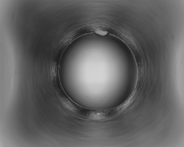X0000116620174200912111204