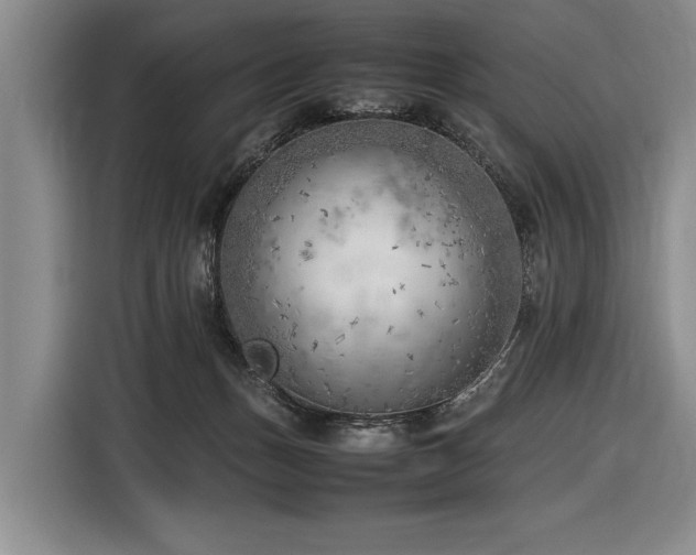 X0000116620175200912111204