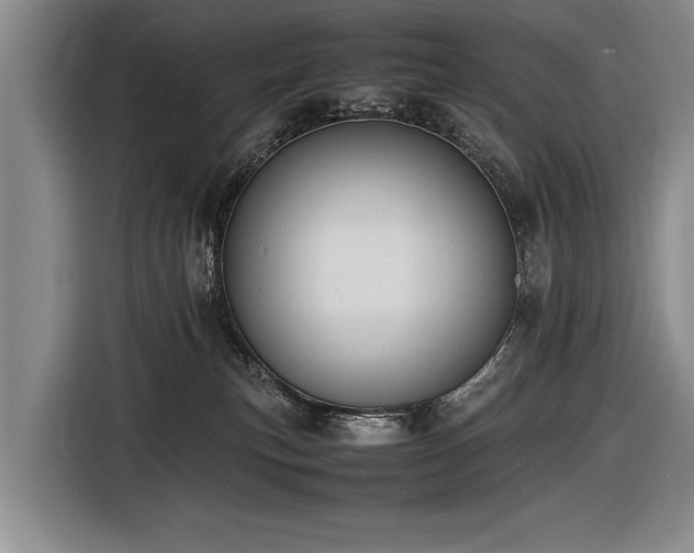 X0000116620183200912111204