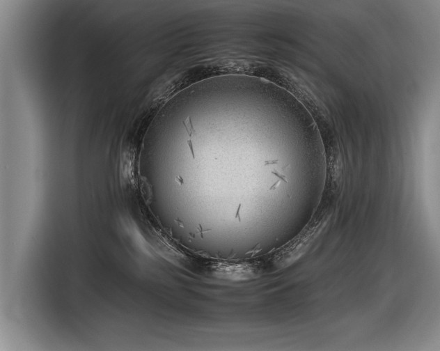 X0000116620185200912111204