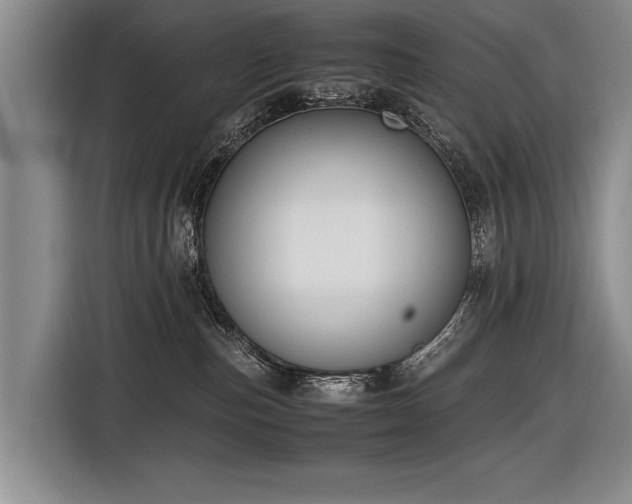 X0000116620187200912111204