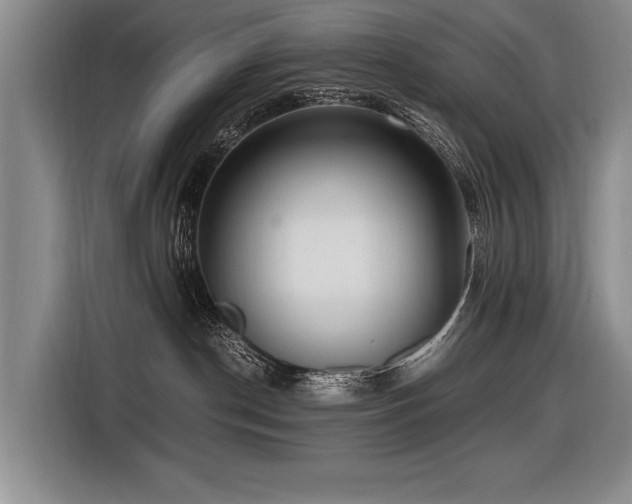 X0000116620190200912111204